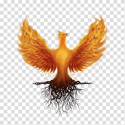 Internet Logo, Ashes Of Creation, Intrepid Studios, Video Games, Internet Forum, Battle Royale Game, Wing, Symbol transparent background PNG clipart