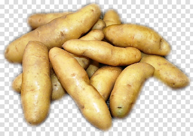 Potato, Fingerling Potato, Russet Potato, Vegetable, Red Potatoes, Cooking, Recipe, Food transparent background PNG clipart