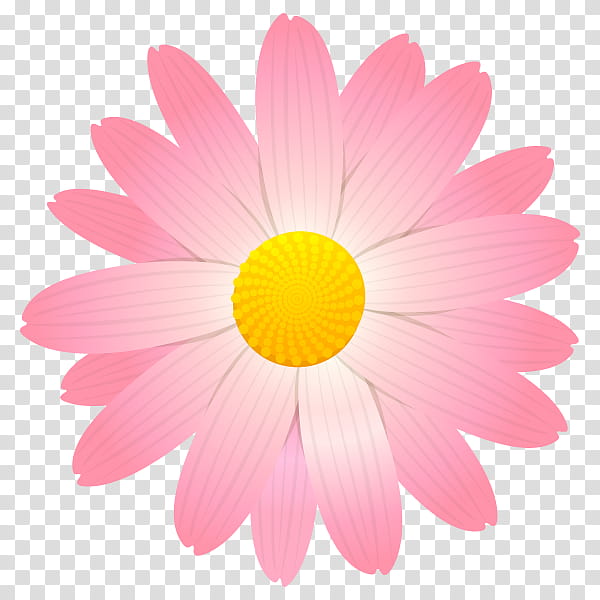 Pink Flower, Youtube, New Delhi, Circus, Jewellery, Thought, Daisy, Petal transparent background PNG clipart