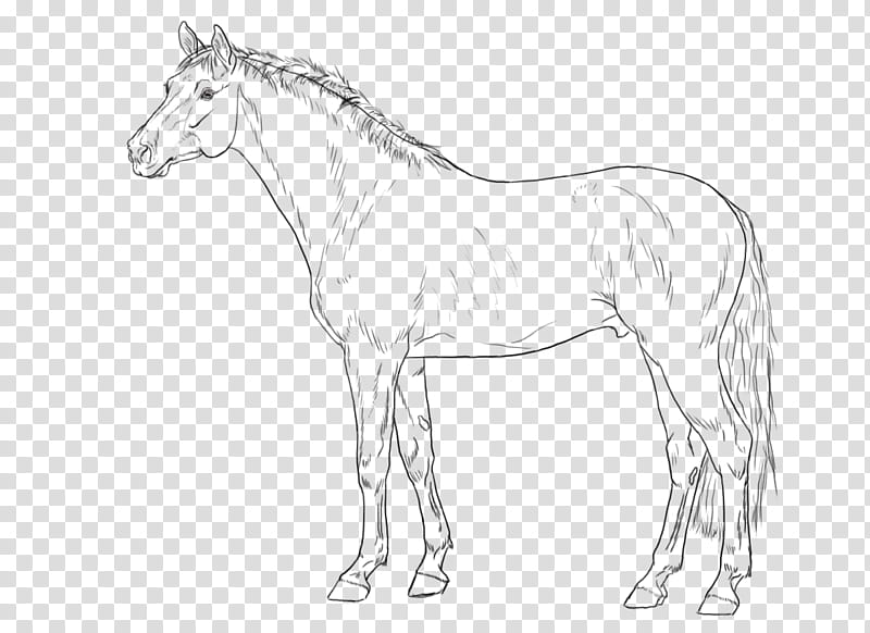 ERLKOENIG LINEART, horse sketch transparent background PNG clipart
