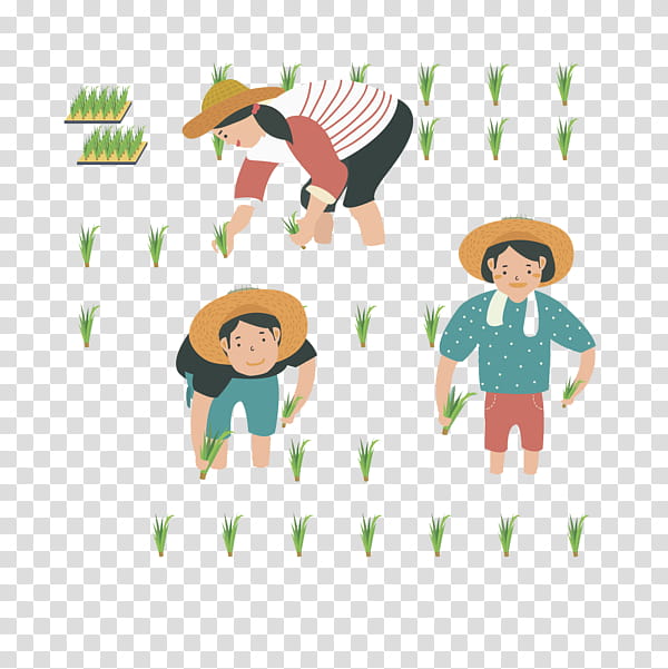 Farmer, Agriculture, Rice, Watercolor Painting, Paddy Field, Arable Land, Rice Transplanter, Line transparent background PNG clipart
