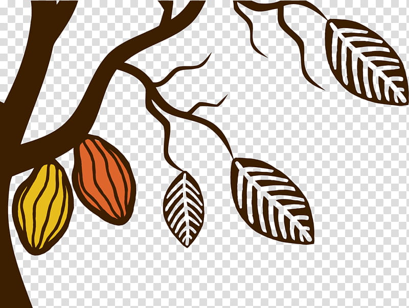 Tea Tree, Coffee, Coffeeleaf Tea, Cacao Tree, Chocolate, Branch, Bean, Plants transparent background PNG clipart