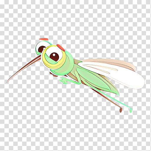 Insect Insect, Cartoon, Amphibians, Pollinator, Pest, Beak, Membrane, Grasshopper transparent background PNG clipart