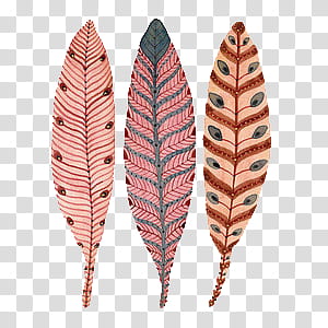 Weird Stuff II, three assorted-color feathers transparent background PNG clipart