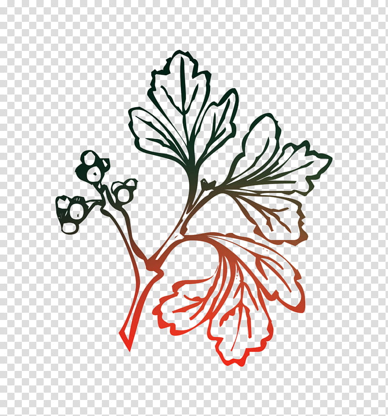 Flower Line Art, Leaf, Plant Stem, Flora, Chlorophyll, Plants, Floral Design, Tree transparent background PNG clipart