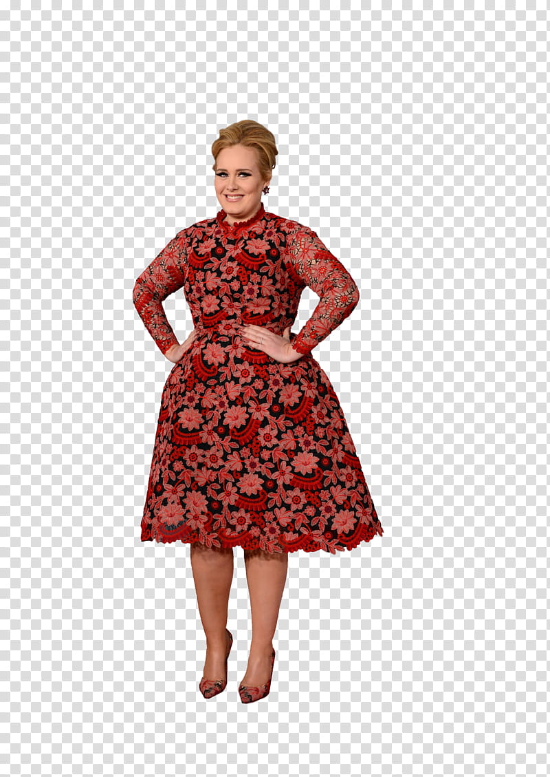 Adele transparent background PNG clipart