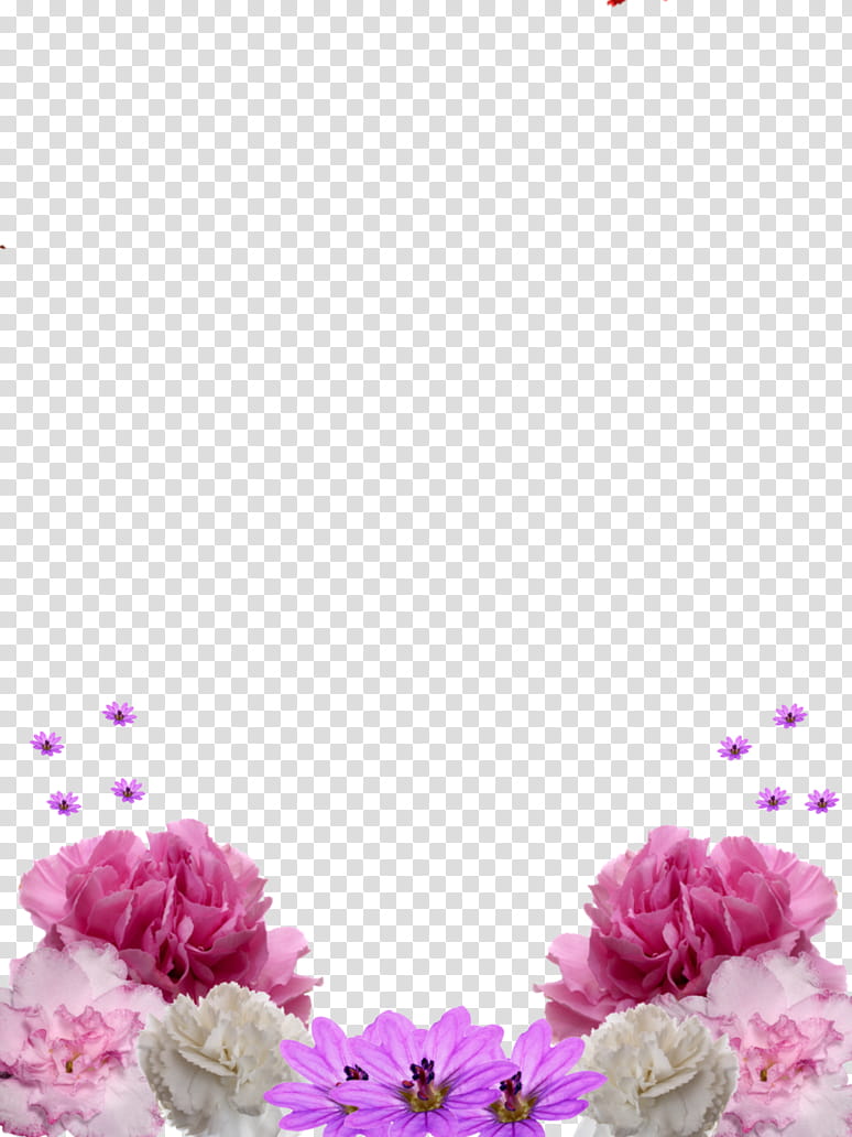 OD de flores , pink and purple flowers transparent background PNG clipart