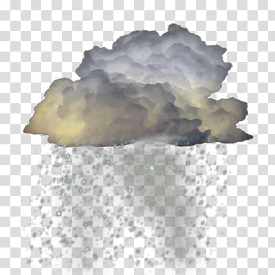 WSI Weather Icons As Seen on TV, Thunderstorm_Rain transparent background PNG clipart