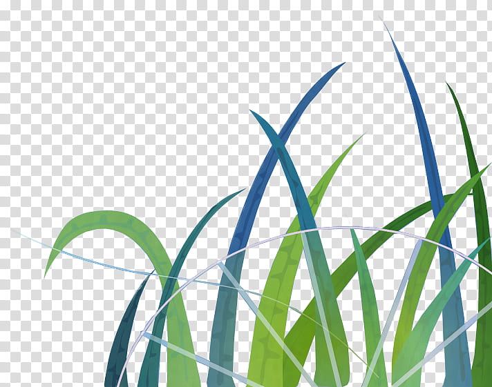 Texture , green and blue grass illustration transparent background PNG clipart