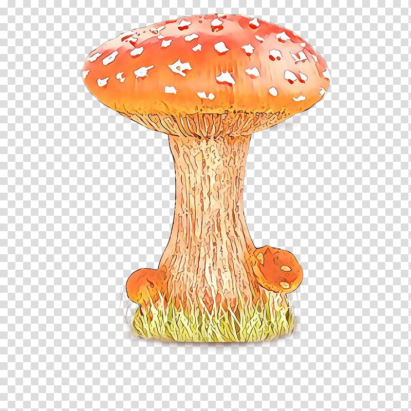 Mushroom, Orange Sa, Table, Agaric, Stool, Fungus, Agaricomycetes, Agaricaceae transparent background PNG clipart