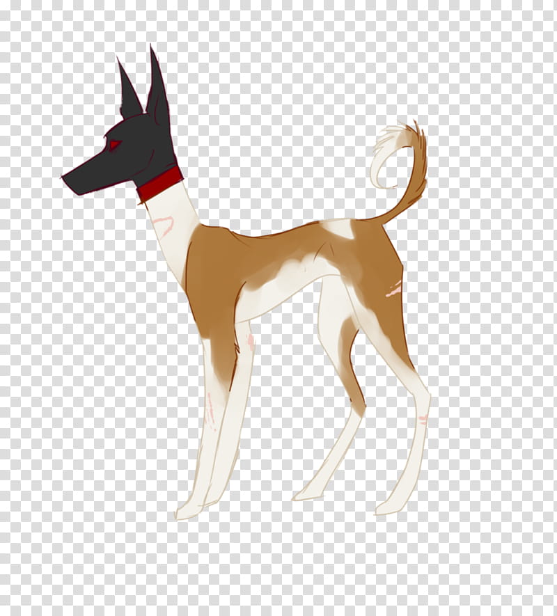 Cartoon Dog, Ibizan Hound, Deer, Breed, Tail transparent background PNG clipart