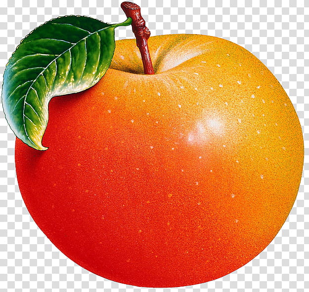 Apple Tree, Fruit, Red Delicious Apple, Reinette Simirenko, Natural Foods, Plant, Leaf, Orange transparent background PNG clipart