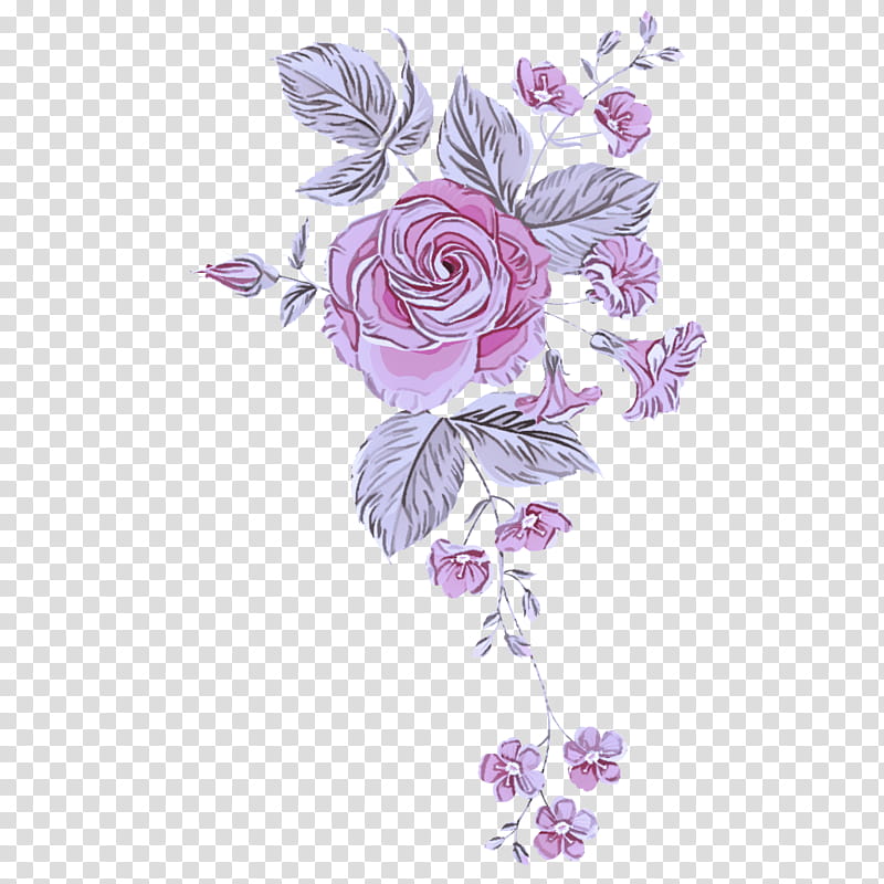 Garden roses, Violet, Purple, Flower, Pink, Lilac, Plant, Rose Family transparent background PNG clipart