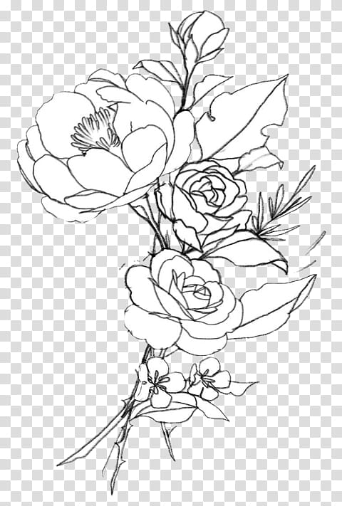 Flower Line Art, Drawing, 2018, Coloring Book, Tattoo, White, Leaf, Plant transparent background PNG clipart