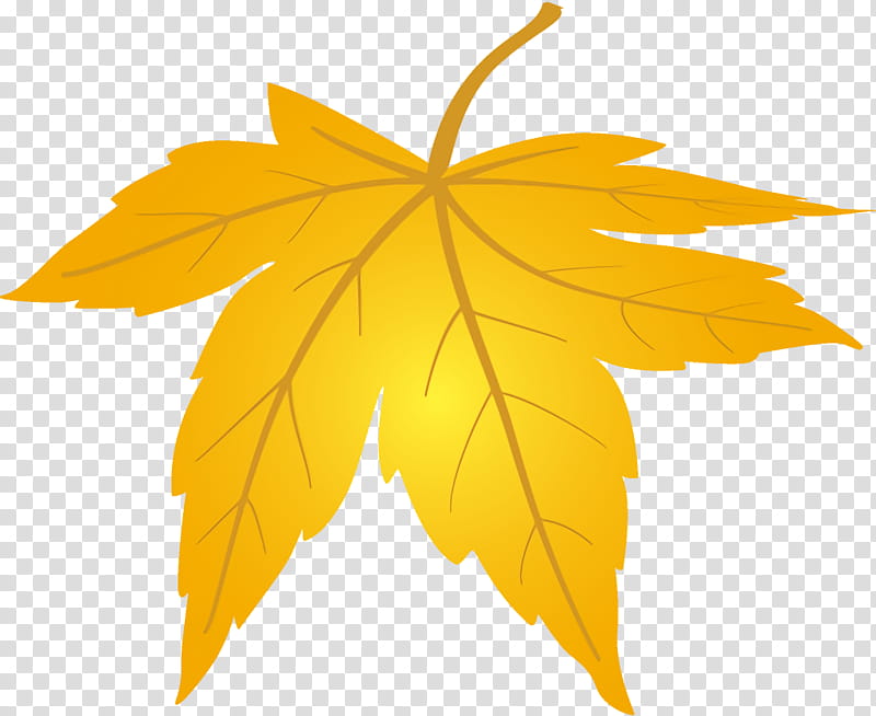 maple leaf fallen leaf dead leaf, Autumn Leaf, Tree, Yellow, Woody Plant, Black Maple, Plane transparent background PNG clipart