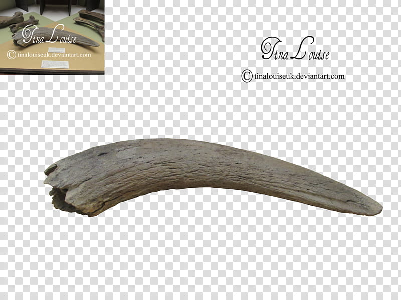 Horn, brown wooden handle knife transparent background PNG clipart