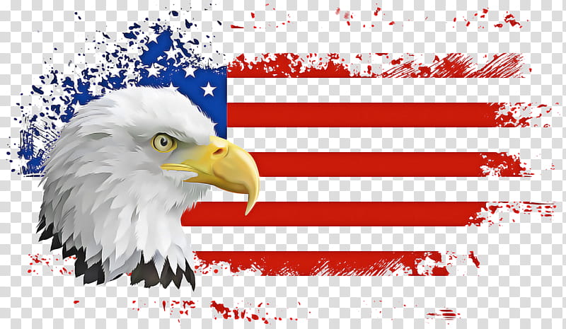 Veterans Day Independence Day, Fourth Of July, 4th Of July, American Flag, Eagle, United States, Flag Of The United States, Retro American Flag transparent background PNG clipart
