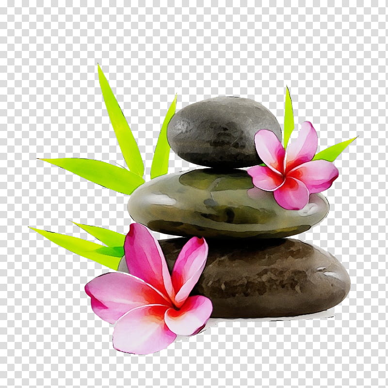 frangipani pebble petal flower plant, Watercolor, Paint, Wet Ink, Zen, Moth Orchid transparent background PNG clipart