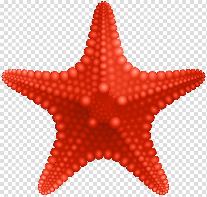 Red Star, Starfish transparent background PNG clipart