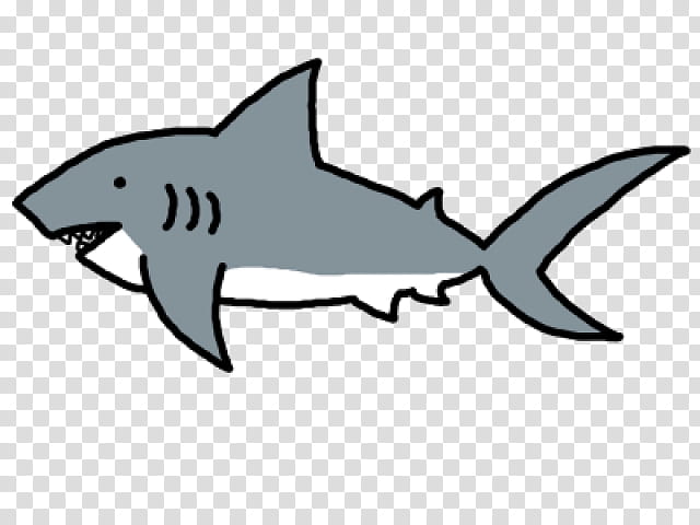 Great White Shark, Shortfin Mako Shark, Shark Finning, Great Hammerhead, Cartilaginous Fishes, Bull Shark, Mackerel Sharks, Hammerhead Shark transparent background PNG clipart