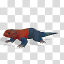 Spore creature Rainbow agama male , blue and red lizard illustration transparent background PNG clipart