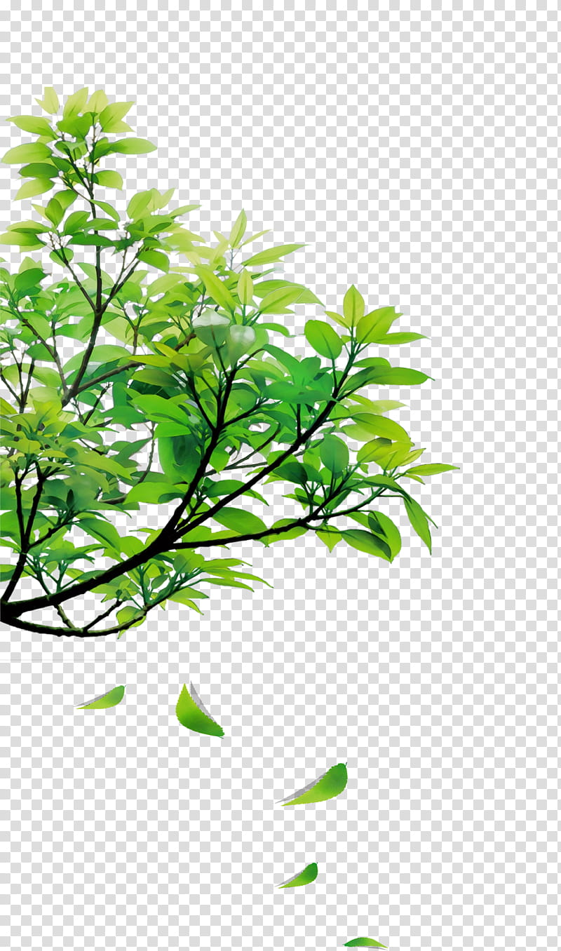 Cartoon Grass, Branch, Leaf, Tree, Ceiling, Floor, Plant Stem, Interior Design Services transparent background PNG clipart