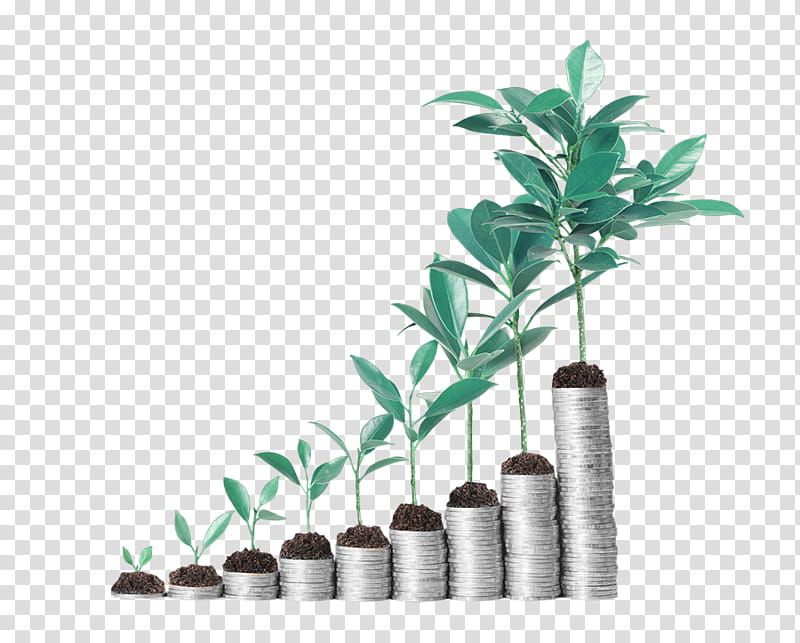Leaf Branch, Investment, Dividend, Finance, Short, Share, Interest Rate, Bank transparent background PNG clipart