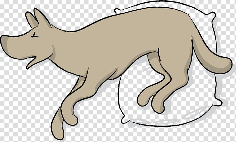 Dog And Cat, First Aid, Recovery Position, Heat Stroke, Animal, Snout, Dog Walking, Body transparent background PNG clipart