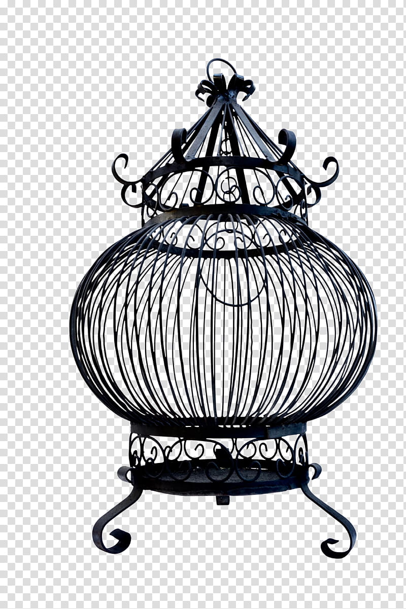 Bird Cage, Iron, Birdcage, Wrought Iron, Antique, Parrot, Home Accessories, Yellow transparent background PNG clipart