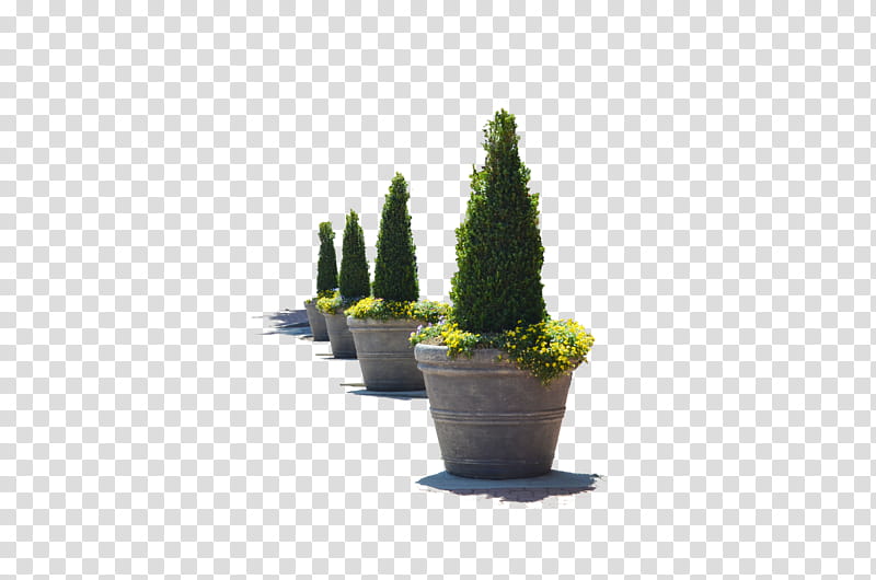 Flower Pots in a Row , four green-leafed plants transparent background PNG clipart