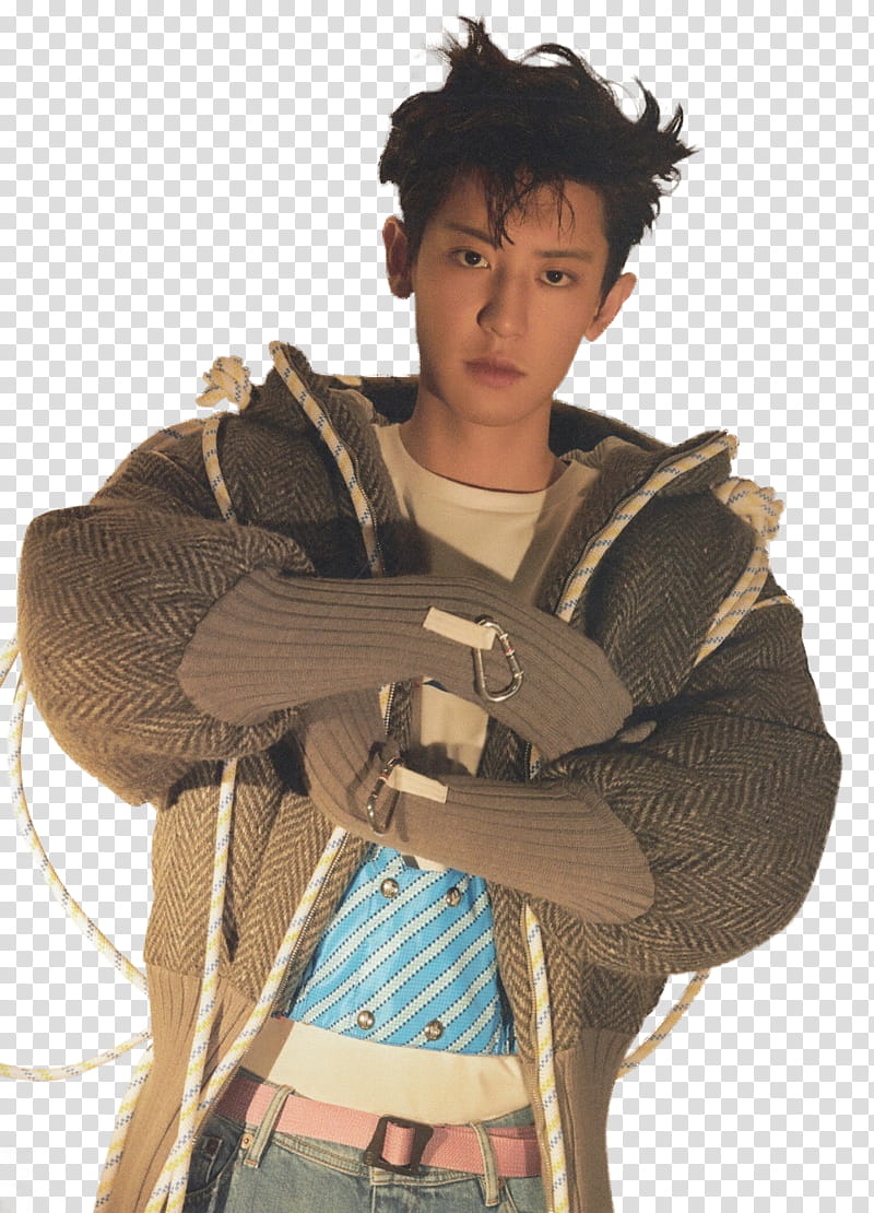 SHARE Chanyeol The Celebrity Magazine EXO, man wearing gray chevron sweater transparent background PNG clipart