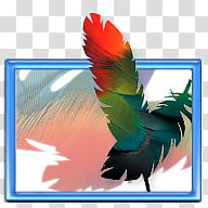 Adobe Icon v , shop, red and green feather transparent background PNG clipart
