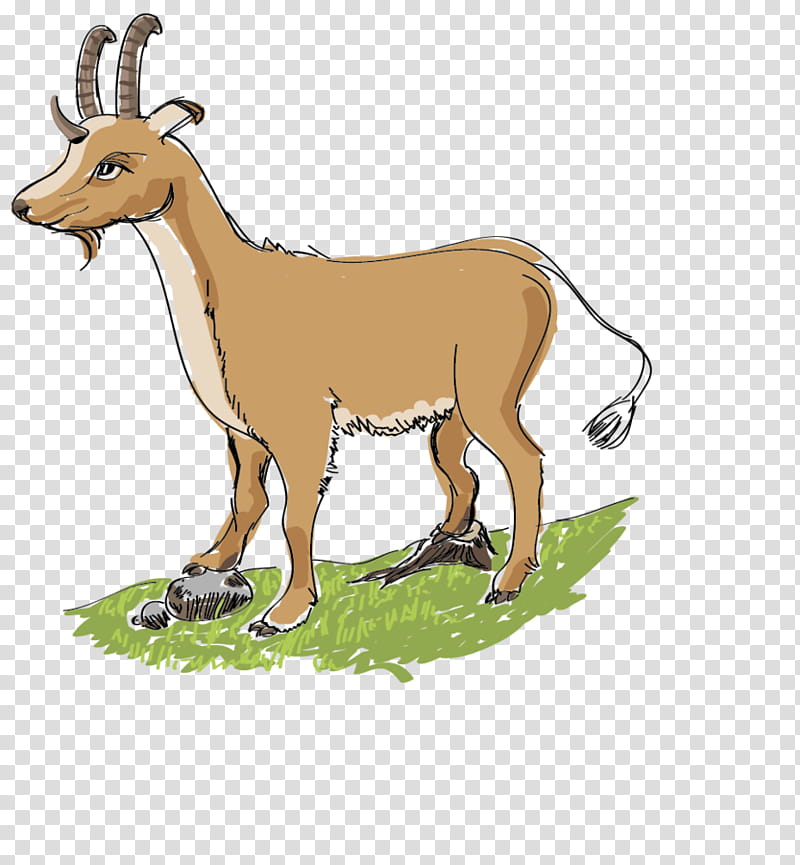 Goat, Cattle, Deer, Sheep, Horse, Dahu, Park, Animal transparent background PNG clipart