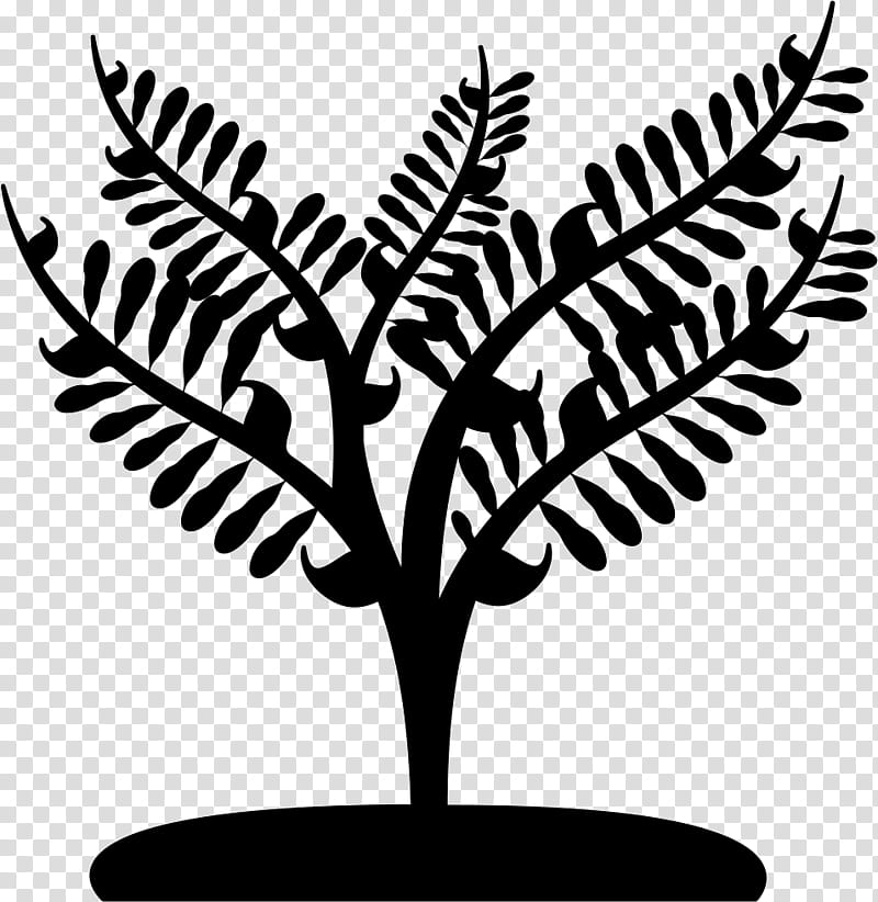 Palm Tree, Plants, Leaf, Vascular Plant, Fern, Woody Plant, Branch, Ferns And Horsetails transparent background PNG clipart