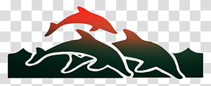 Fish, Dolphin, Logo, Design M Group, Fin, Bottlenose Dolphin, Automotive Decal, Shortbeaked Common Dolphin transparent background PNG clipart thumbnail