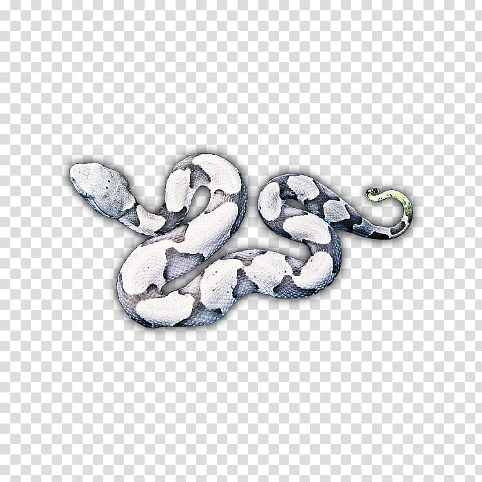 RPG Map Elements , white and gray snake transparent background PNG clipart