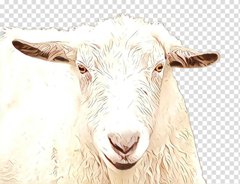goats goat sheep sheep cow-goat family, Cartoon, Cowgoat Family, Live, Goatantelope, Horn, Snout transparent background PNG clipart