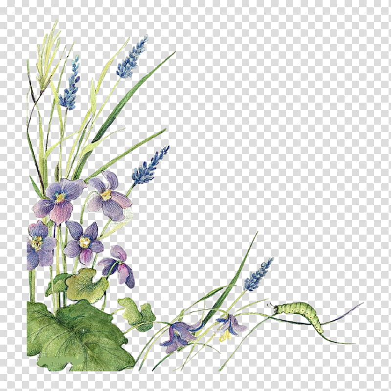 Blue Flower Borders And Frames, Floral Design, Watercolor Painting, Watercolor Flowers, Lavender, Drawing, Plant, Bellflower transparent background PNG clipart