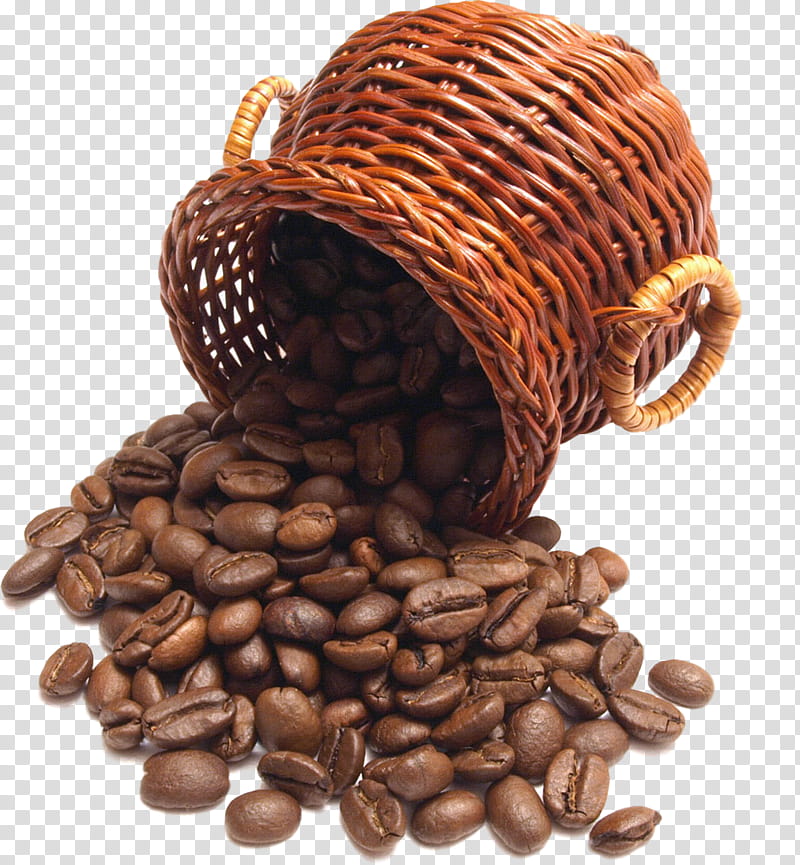 caffeine jamaican blue mountain coffee java coffee plant bean, Food, Cocoa Bean transparent background PNG clipart