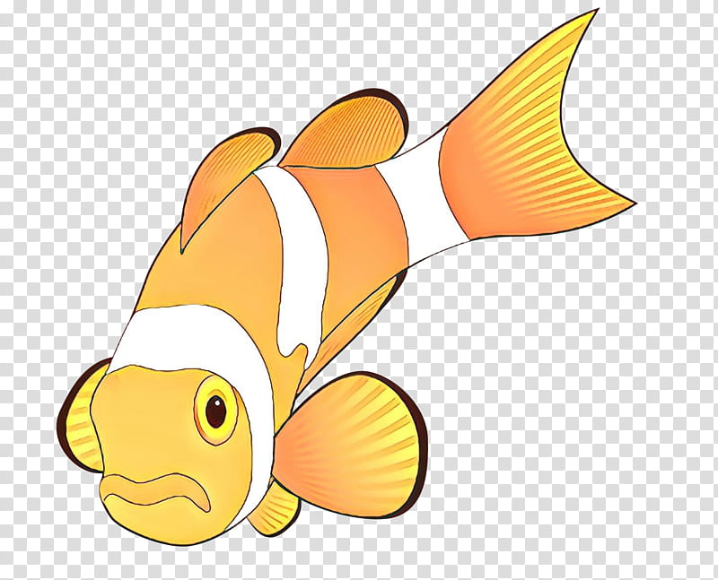 anemone fish fish clownfish pomacentridae fish, Cartoon, Fin, Butterflyfish transparent background PNG clipart