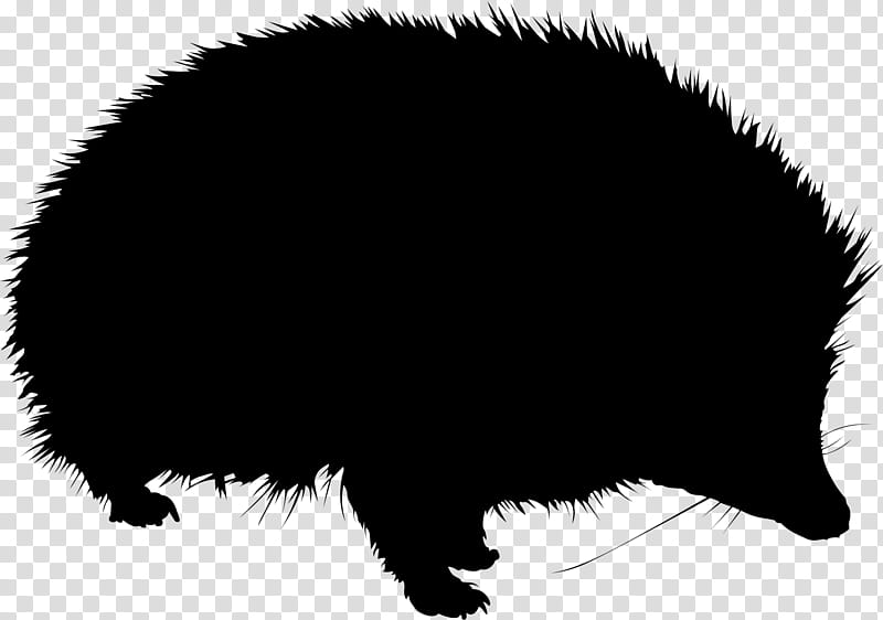Pig, Hedgehog, Porcupine, European Hedgehog, Animal, Silhouette, Snout, Fur transparent background PNG clipart