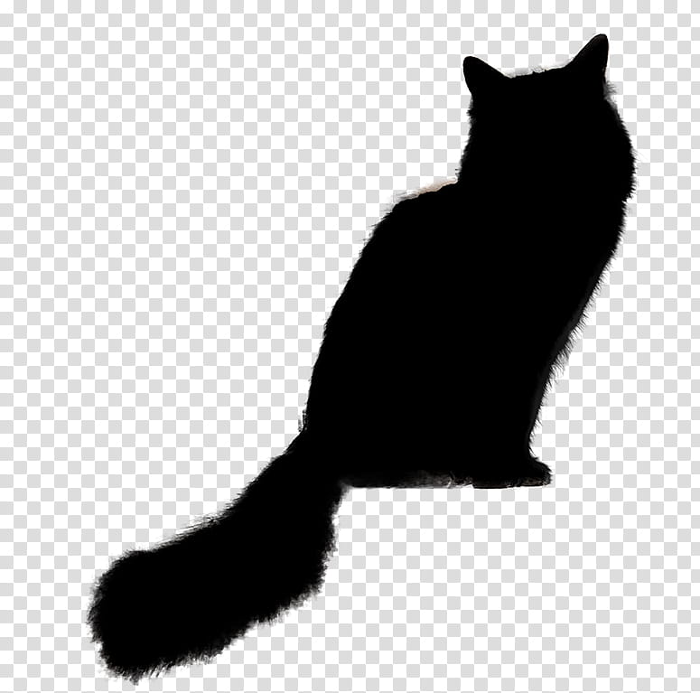 cat black cat small to medium-sized cats tail whiskers, Small To Mediumsized Cats, Blackandwhite, Squirrel, Paw transparent background PNG clipart