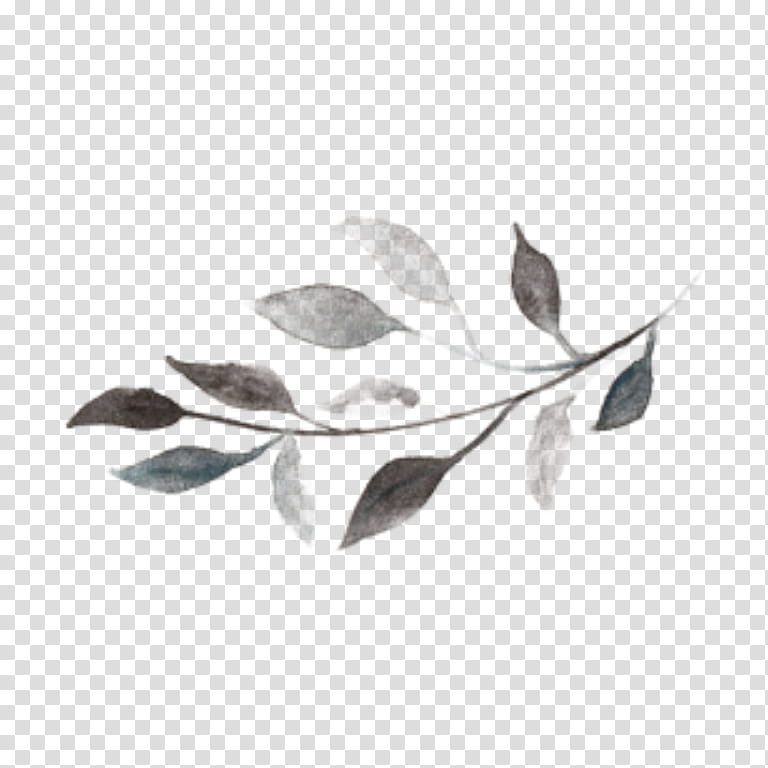 Black And White Flower, Watercolor Painting, Black And White
, Leaf, Monochrome, Animal Jam Clans, Desktop , Branch transparent background PNG clipart