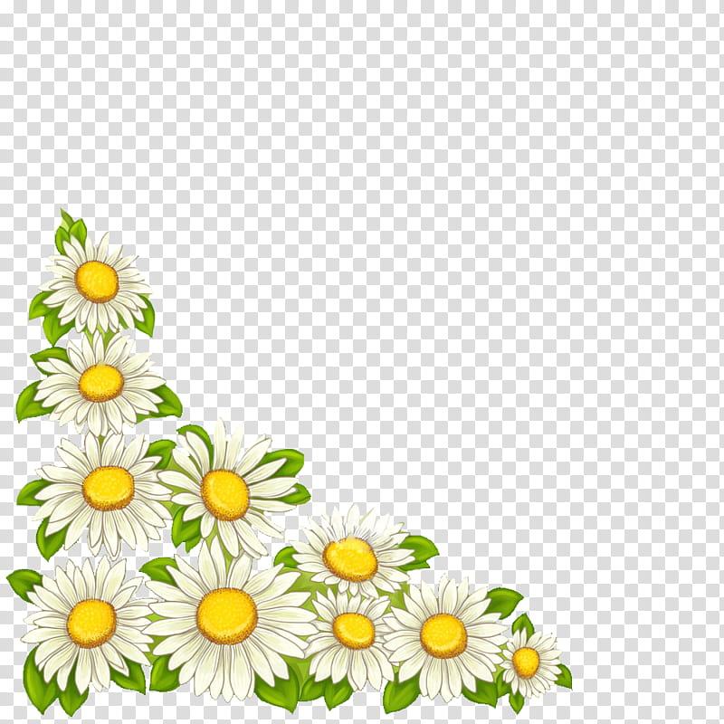 Flowers, Advertising, Gratis, Daisy, Chamaemelum Nobile, Oxeye Daisy, Plant, Flora transparent background PNG clipart