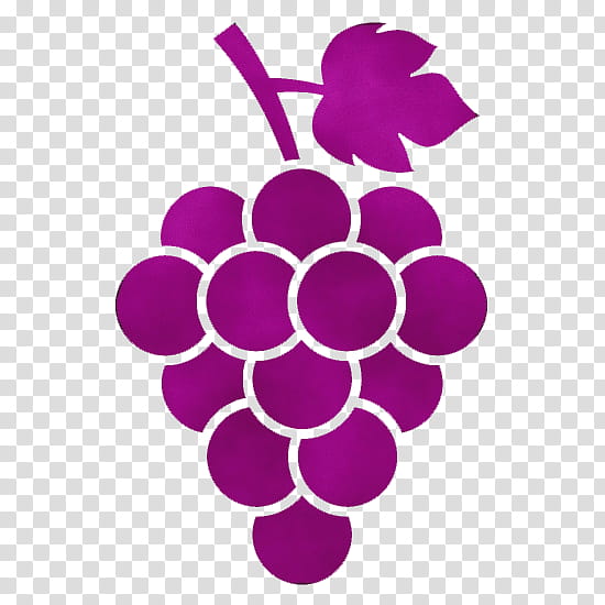 grape violet grapevine family purple seedless fruit, Watercolor, Paint, Wet Ink, Vitis, Plant, Magenta, Logo transparent background PNG clipart