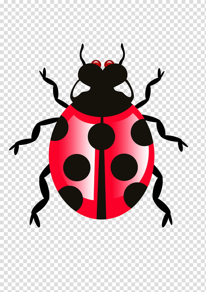 QOI S BUG FILE, red and black ladybug beetle illustration transparent background PNG clipart