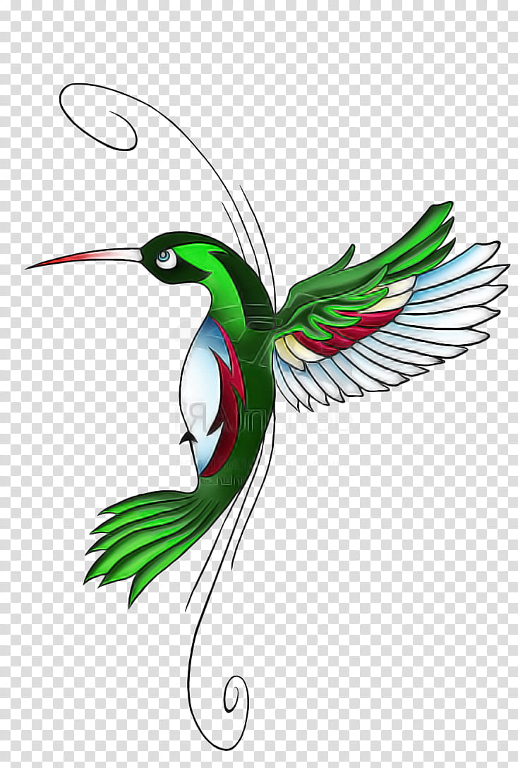 Tattoo uploaded by Jordan K • Hummingbird watercolor • Tattoodo