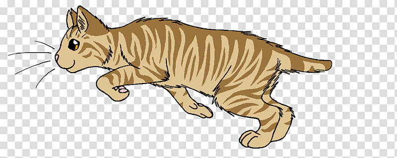Warriors Animal Figure, Birchfall, Thornclaw, Tigerstar, Goldenflower, Thunderclan, Thistleclaw, Drawing transparent background PNG clipart