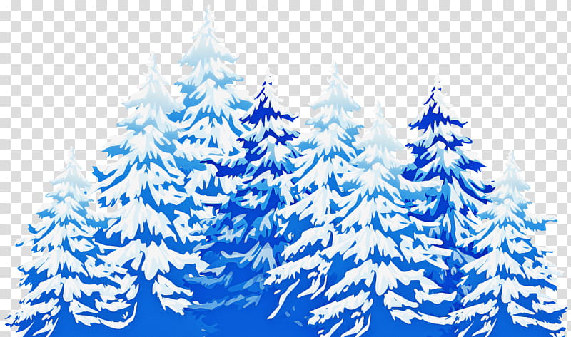 Christmas tree, Colorado Spruce, Oregon Pine, Shortleaf Black Spruce, Blue, Fir, Conifer, Pine Family transparent background PNG clipart