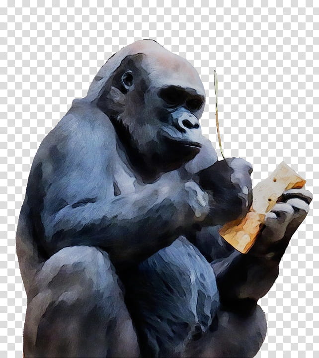 western lowland gorilla snout temple sculpture statue, Watercolor, Paint, Wet Ink transparent background PNG clipart
